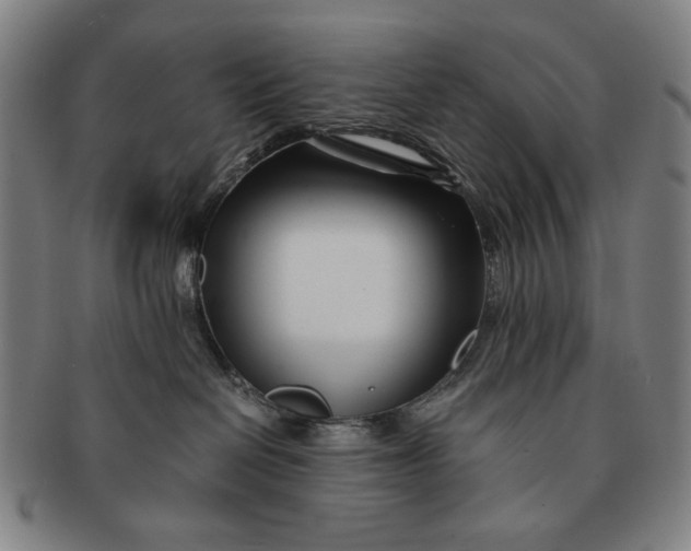 X0000091220286200708301459