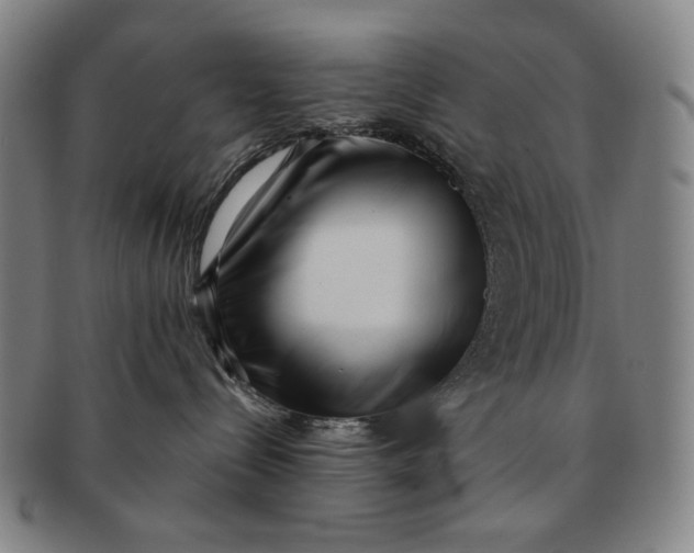 X0000091220288200708301459