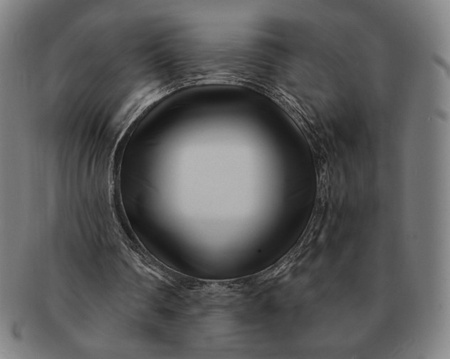 X0000091220290200708301458