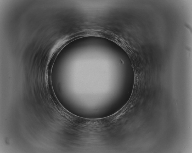 X0000091220294200708301458