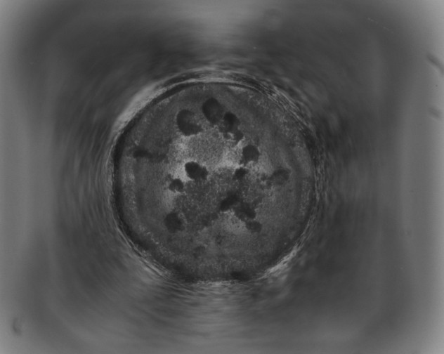 X0000091220295200708301458