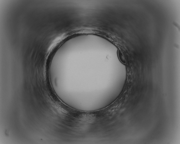 X0000091220296200708301458