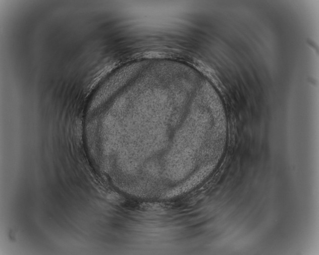 X0000091220297200708301458