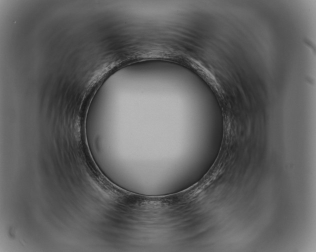 X0000091220298200708301458