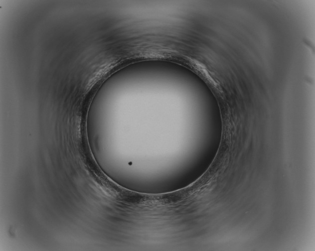 X0000091220299200708301458