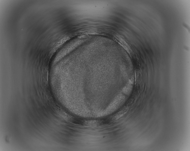 X0000091220301200708301458