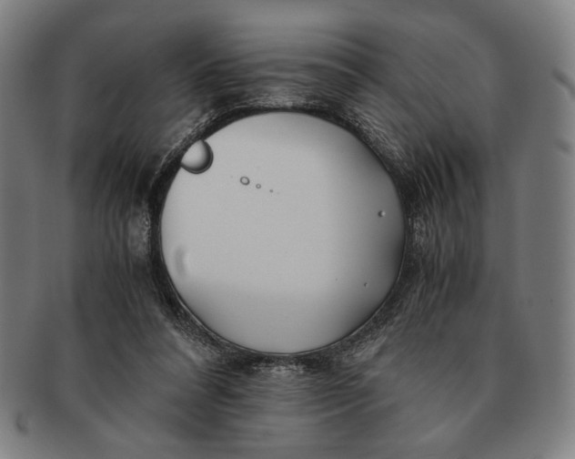 X0000091220304200708301458