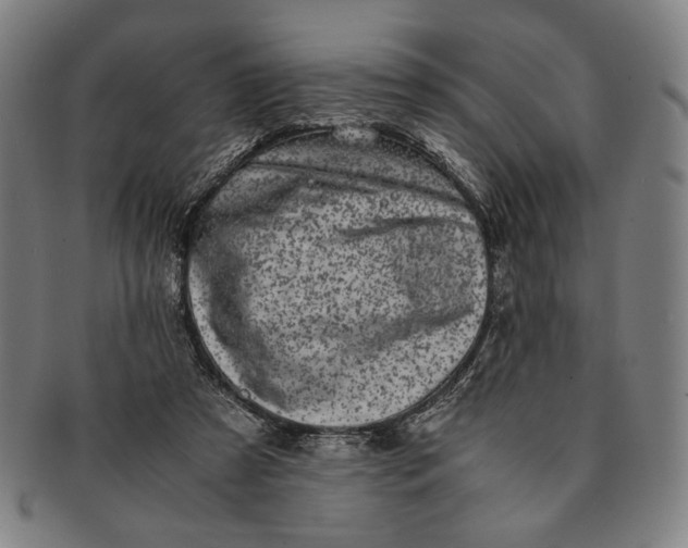 X0000091220305200708301458