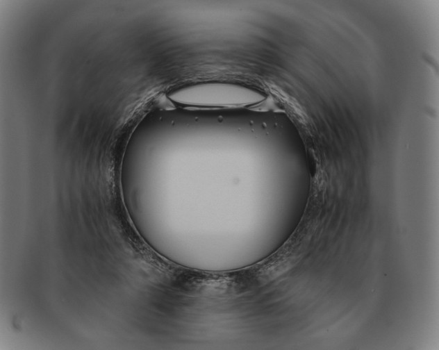 X0000091220306200708301458