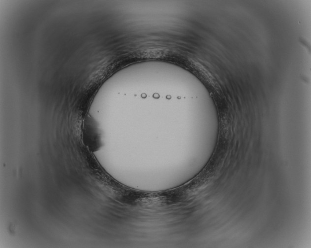 X0000091220307200708301458