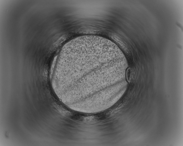 X0000091220309200708301458