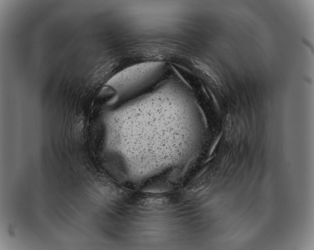 X0000091220314200708301458