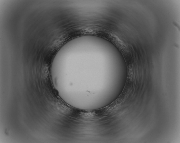 X0000091220318200708301458