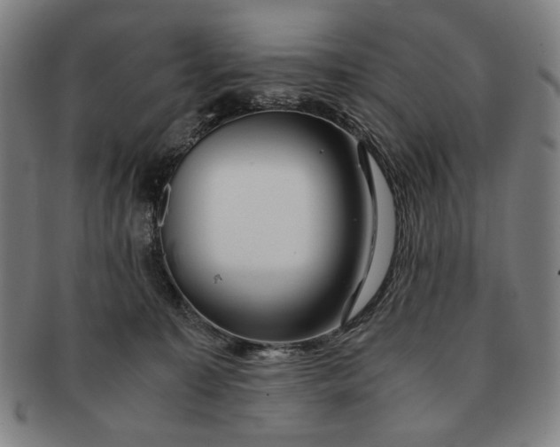 X0000091220323200708301457