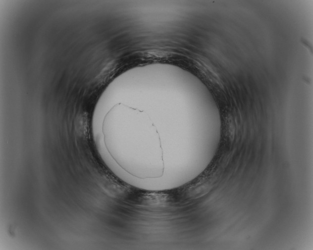 X0000091220328200708301457