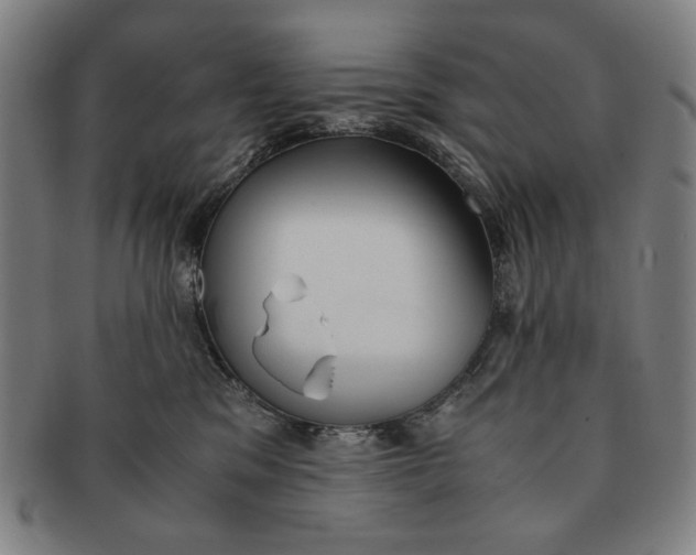 X0000091220329200708301457