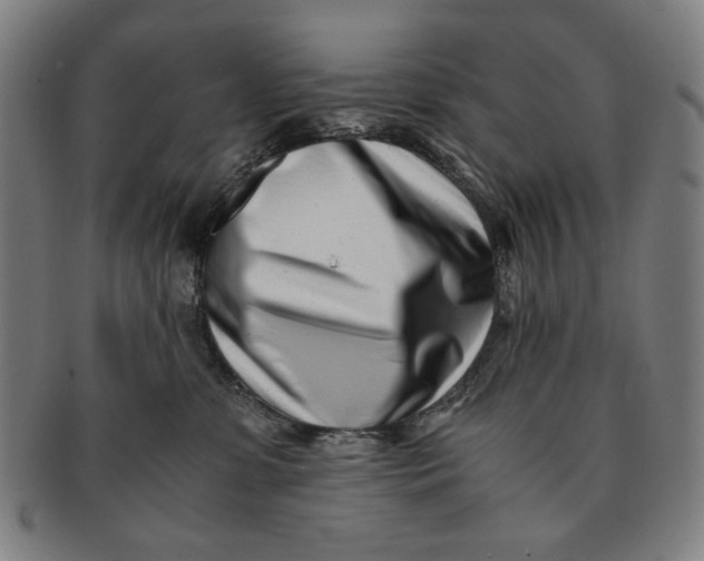 X0000091220331200708301457