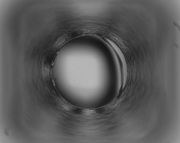 X0000091220333200708301457