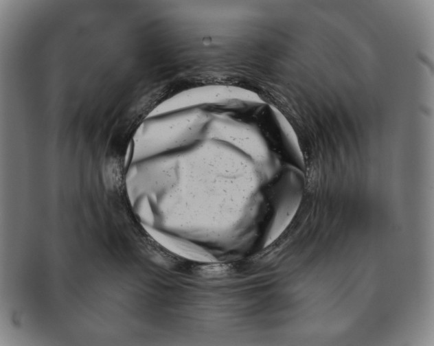 X0000091220335200708301457