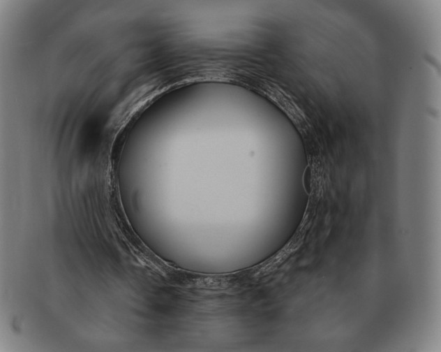 X0000091220338200708301457