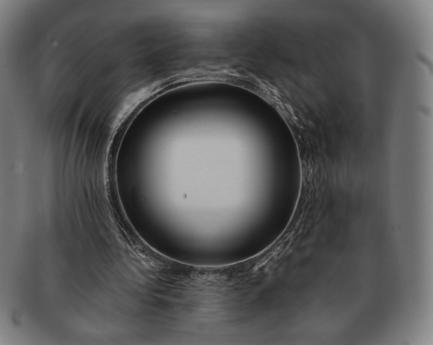 X0000091220340200708301457