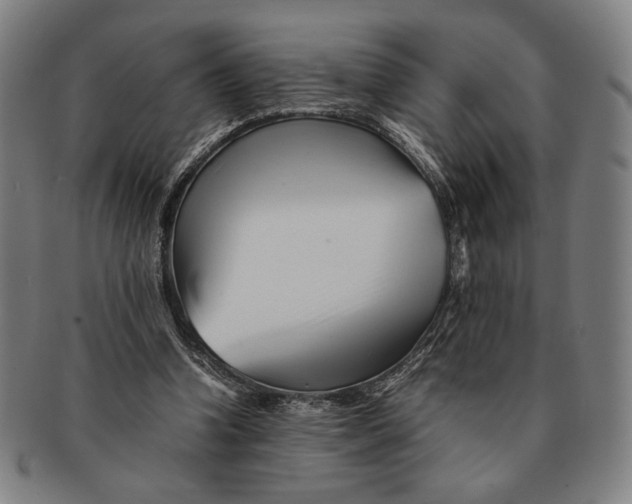 X0000091220346200708301457