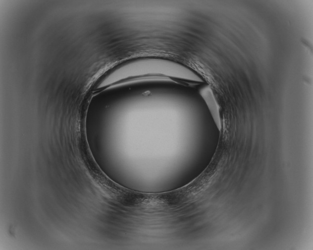 X0000091220348200708301457