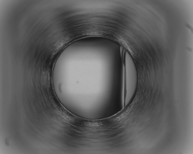 X0000091220349200708301457