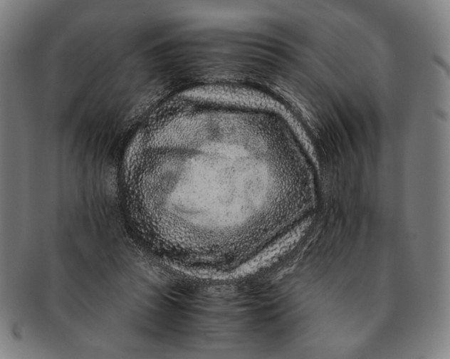 X0000091220353200708301457