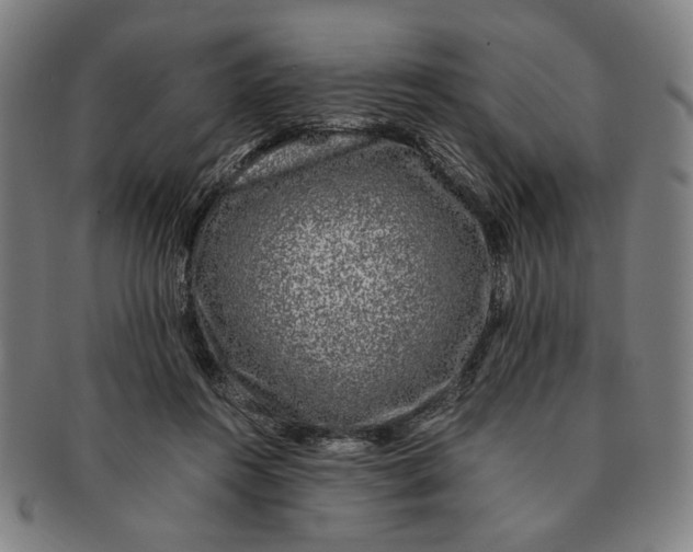 X0000091220360200708301457