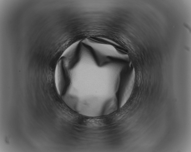 X0000091220367200708301457