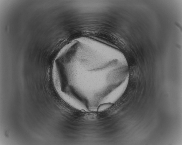 X0000091220369200708301457