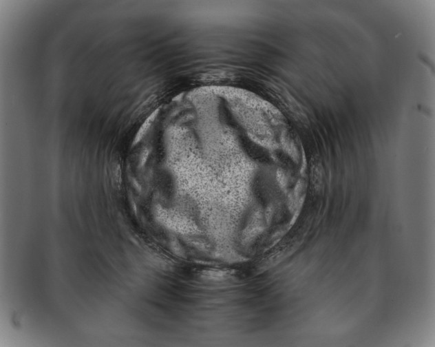 X0000091220375200708301457