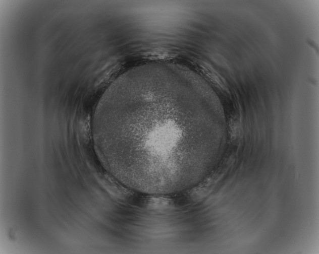 X0000091220376200708301457