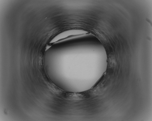 X0000091220379200708301457