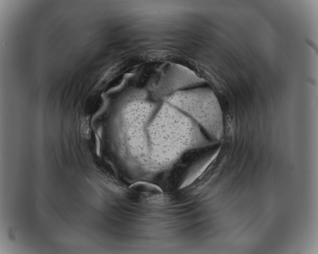 X0000091220383200708301457