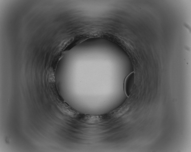 X0000091220384200708301457