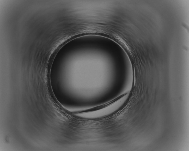 X0000091220387200708301457