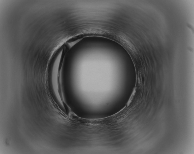 X0000091220388200708301457