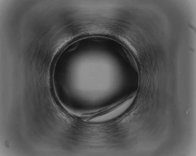 X0000091220391200708301457