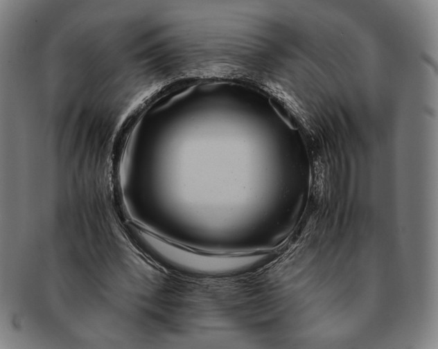 X0000091220392200708301457