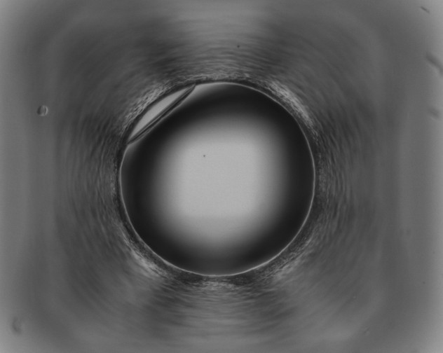 X0000091220393200708301457