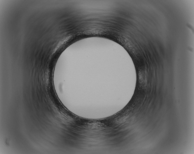 X0000091220396200708301456