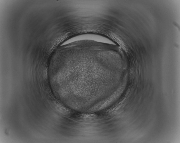 X0000091220401200708301456