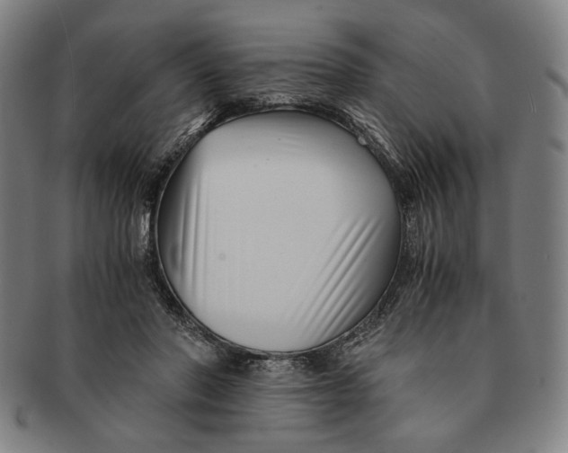 X0000091220406200708301456