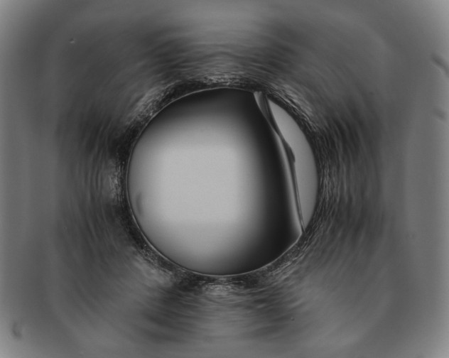 X0000091220408200708301456