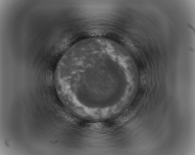 X0000091220411200708301456