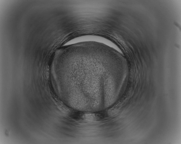 X0000091220413200708301456