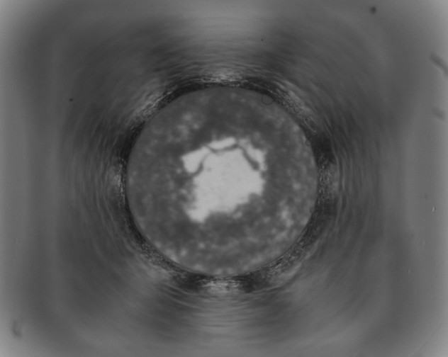 X0000091220415200708301456