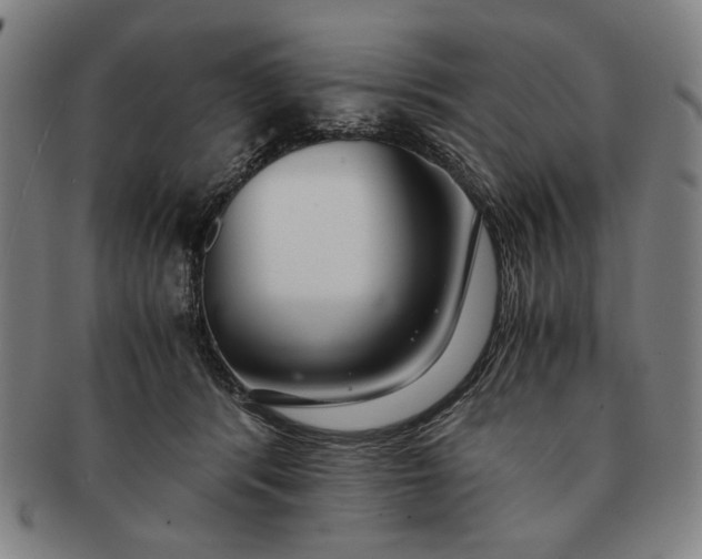 X0000091220416200708301456